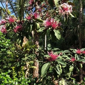 Meet your Posher, Olga